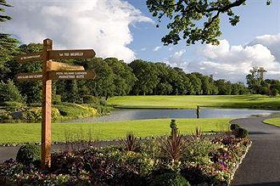 фото отеля Fota Island Resort