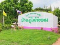 Baan Phu Mai Hom