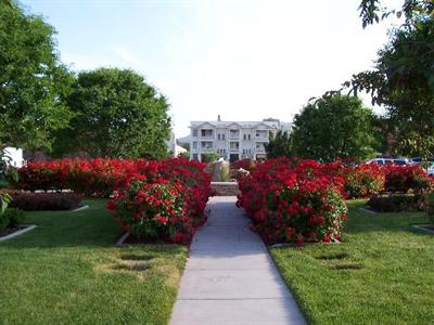 фото отеля Residence Inn Salt Lake City/City Center
