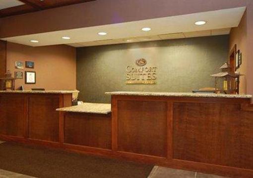 фото отеля Comfort Suites Grand Rapids North
