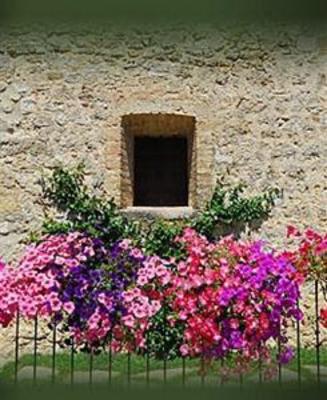 фото отеля Torre Sangiovanni Bed & Breakfast Todi