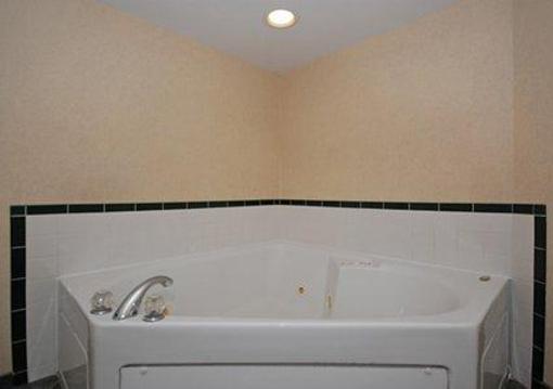 фото отеля Econo Lodge Inn & Suites Shamokin Dam
