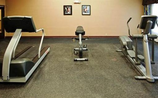 фото отеля Holiday Inn Express Hotel & Suites Buda
