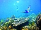фото отеля Dolphin-House Resort-SPA-Diving