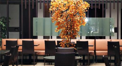 фото отеля Hotel Nyland Cipaganti
