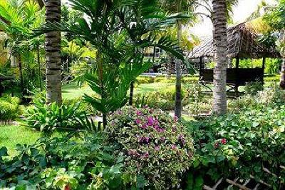 фото отеля Bacchus Home Resort