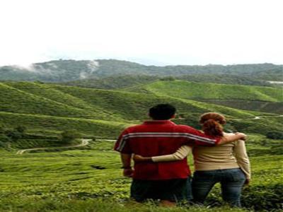 фото отеля Cameron Highlands Resort