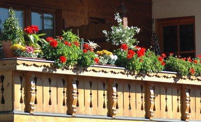 фото отеля Hotel Nuss