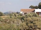 фото отеля Quinta Serra De Sao Mamede