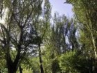 фото отеля Glenburn Lodge Muldersdrift