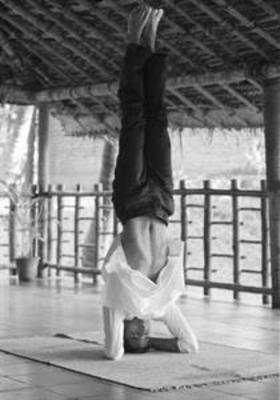 фото отеля Kairali Ayurvedic Health Resort