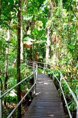 фото отеля Daintree Wilderness Lodge