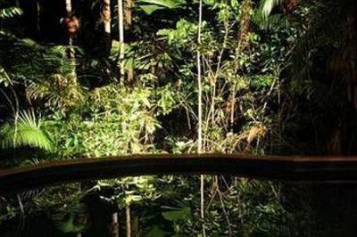 фото отеля Daintree Wilderness Lodge