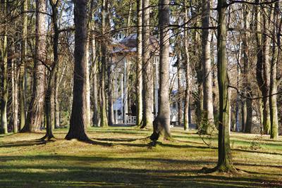 фото отеля Villa Lessing