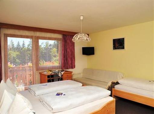фото отеля Hotel Langeshof