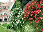 фото отеля Kasauli Resort