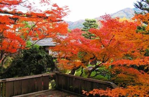 фото отеля Ryokan Yoshida Sanso Hotel Kyoto
