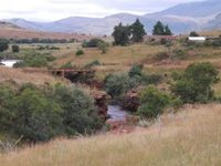 Joy River Backpackers