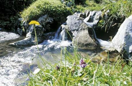 фото отеля Wellnesshotel Mitterwirt