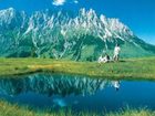 фото отеля Wellnesshotel Mitterwirt