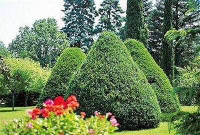 фото отеля Manoir de la Roseraie