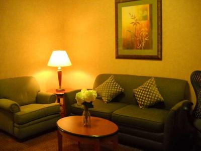фото отеля Hilton Garden Inn Tinley Park