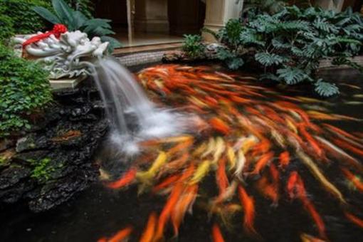 фото отеля Crowne Plaza Hotel Zhanjiang