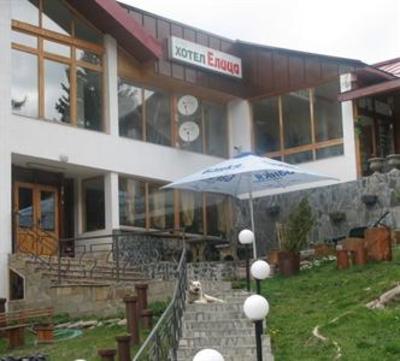 фото отеля Hotel Elitza Pamporovo