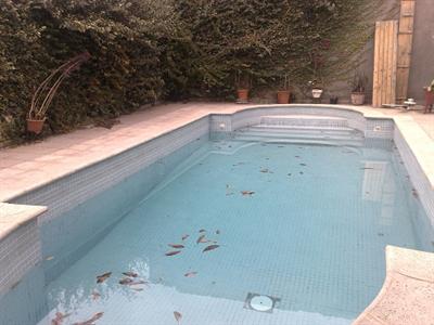 фото отеля Hostal El Palo Santo