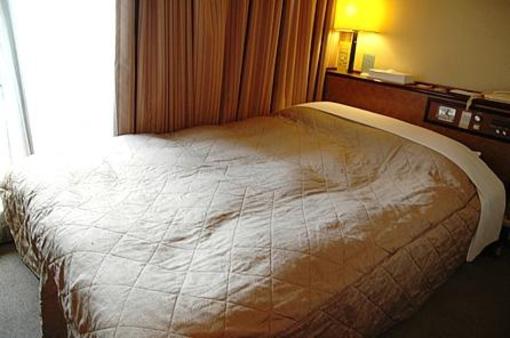 фото отеля Hotel Pine Hill Ueno