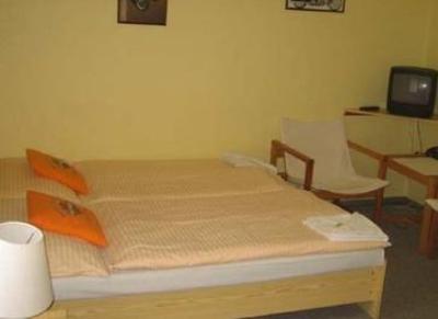 фото отеля Hotel Tronicek