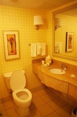 фото отеля Hilton Garden Inn Greensboro