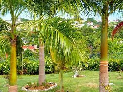 фото отеля Emerald View Resort Villa Montego Bay