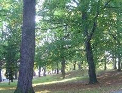 фото отеля Pokoje Goscinne Zlota Palma