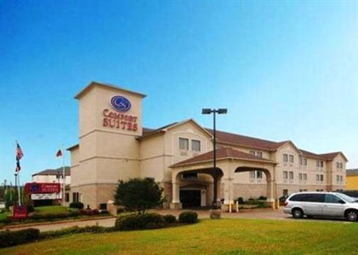 фото отеля Comfort Suites South Broadway Mall Tyler