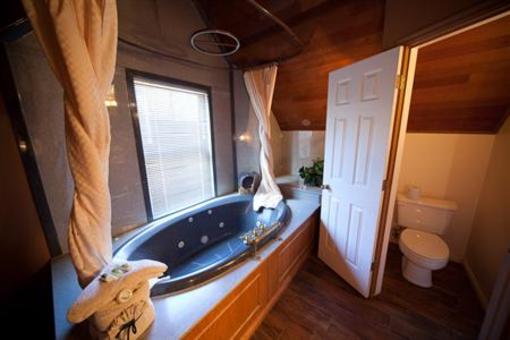 фото отеля The Anniversary Inn South Temple Salt Lake City