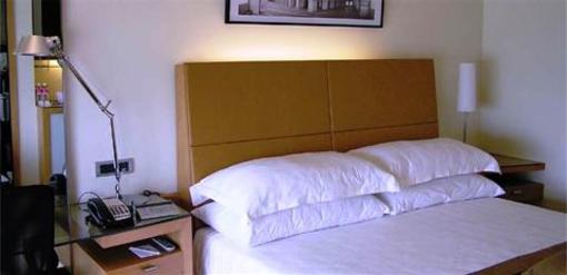 фото отеля Hotel Teg Royal