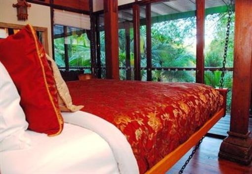 фото отеля Amazing Wollumbin Palms Retreat Mount Warning