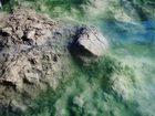 фото отеля Abano Ritz Terme