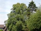 фото отеля Hotel Zum Hackstück Hattingen