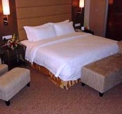 фото отеля Jiaxin Conifer Hotel Shunde Foshan