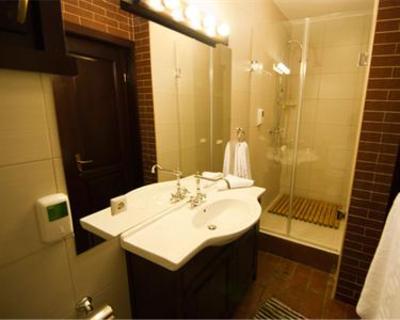 фото отеля Hanul Dambu Morii Hotel Sacele