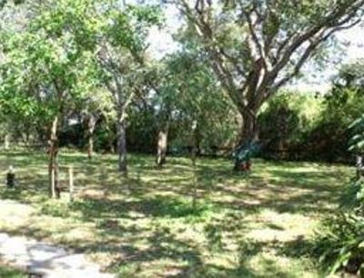 фото отеля Isinkwe Backpackers Bushcamp