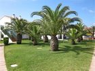 фото отеля Apartments Roc Oasis Park Menorca