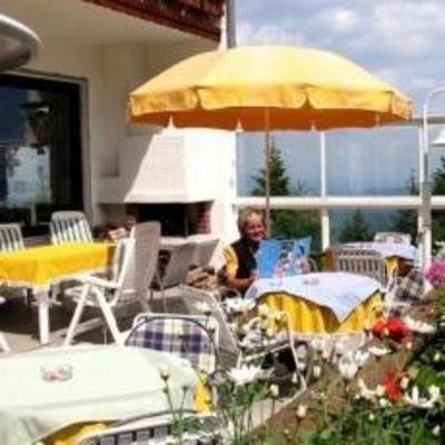 фото отеля Alpenhotel Birkenhof