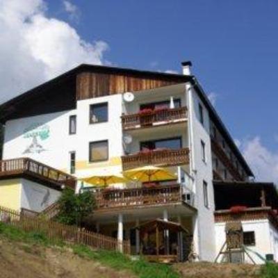 фото отеля Alpenhotel Birkenhof