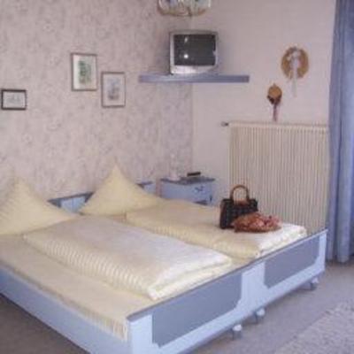 фото отеля Alpenhotel Birkenhof