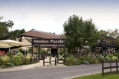 фото отеля Premier Inn Chessington London