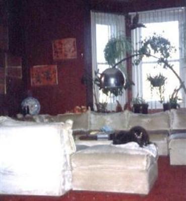 фото отеля Carole's Purrfect Bed and Breakfast