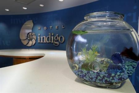 фото отеля Hotel Indigo Fishers - Indy's Uptown